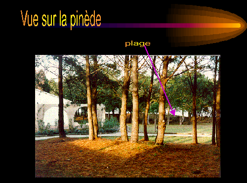 img001.GIF (70537 octets)